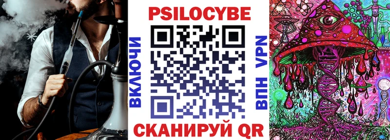Купить  Новосибирск  Псилоцибиновые грибы Psilocybine cubensis 