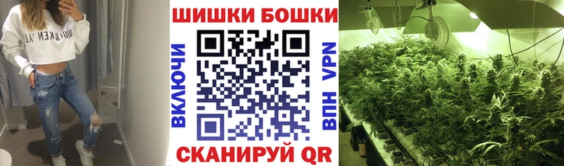 Купить  Новосибирск  Бошки Шишки SATIVA & INDICA 
